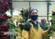 Employee d'une ferme floricole en Equateur